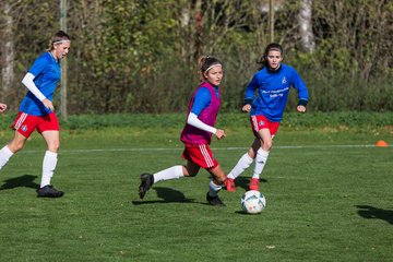 Bild 49 - B-Juniorinnen Hamburger SV - FC Neubrandenburg 04 : Ergebnis: 3:1